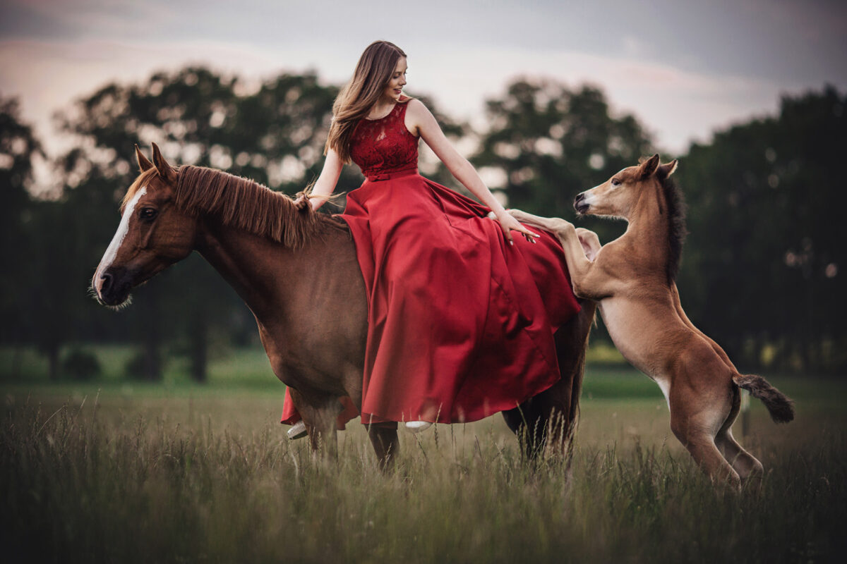 FinePhotography-Josephine-Gotzes-Pferdefotografie-Tierfotografie-NRW-Bremen-Niedersachen-15
