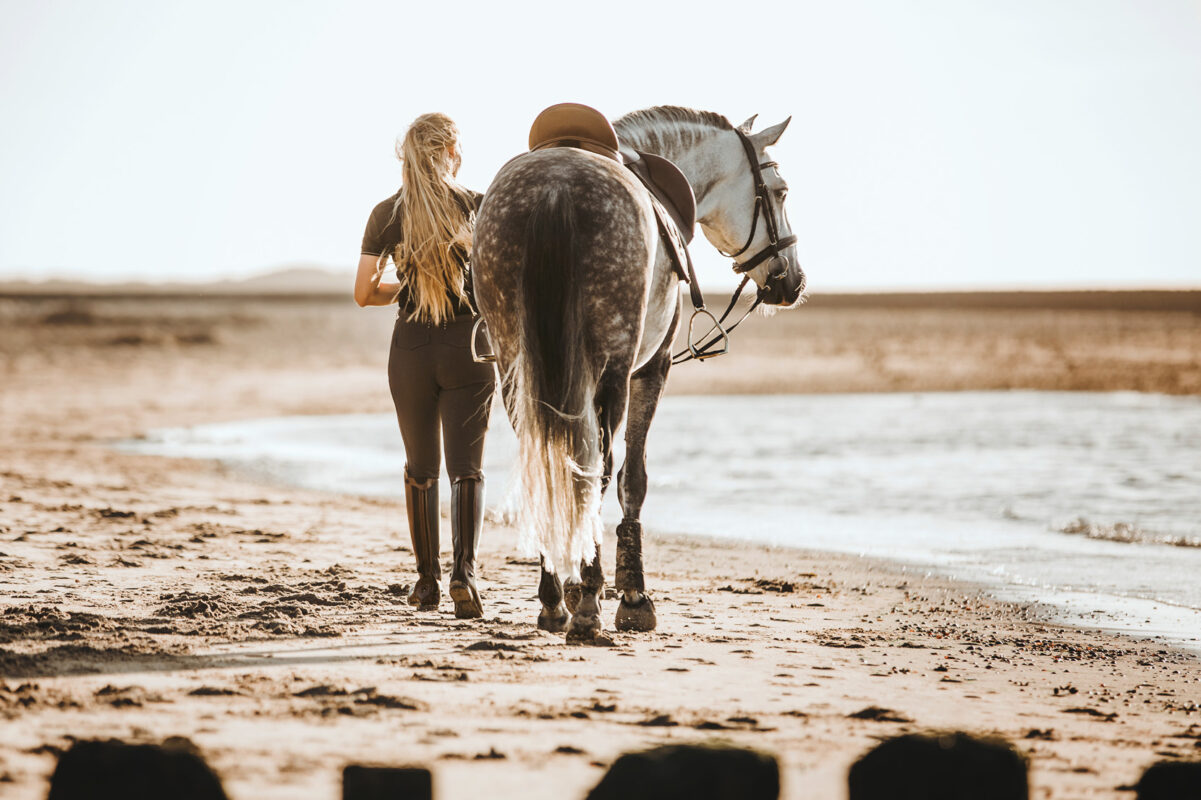 FinePhotography-Josephine-Gotzes-Pferdefotografie-Tierfotografie-NRW-Bremen-Niedersachen-27