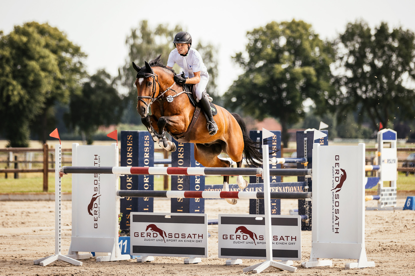 FinePhotography-Josephine-Gotzes-Pferdefotografie-Tierfotografie-NRW-Bremen-Niedersachen-Unternehmen-14-GerdSosath-Pferdezucht-RVHeiligenrode FinePhotography-Josephine-Gotzes-Pferdefotografie-Tierfotografie-NRW-Bremen-Niedersachen-Unternehmen-19